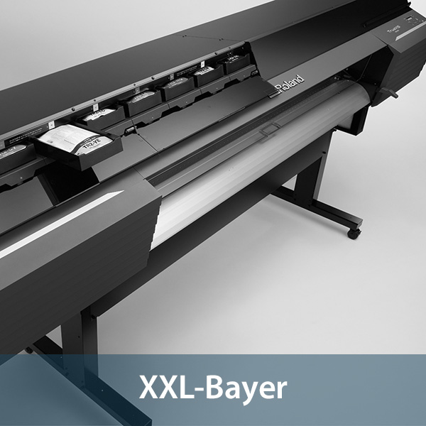 XXL Bayer